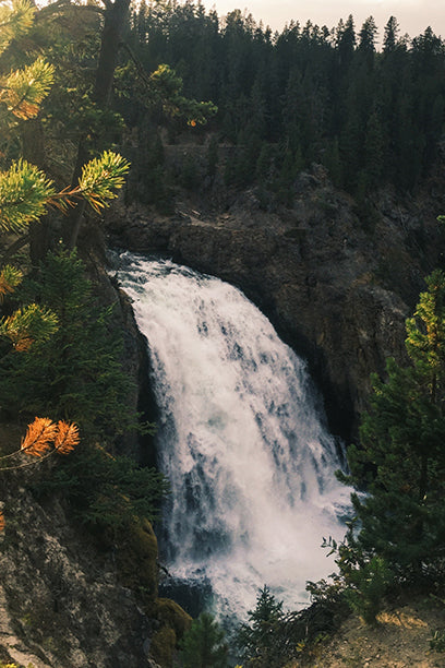 A waterfall tumbles over a rugged cliff surrounded by evergreen trees, with warm light catching the autumn leaves in the foreground.