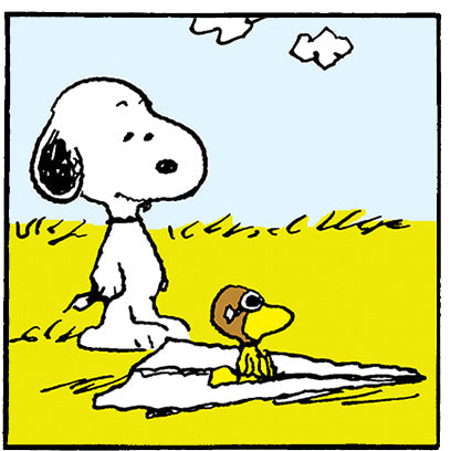 Snoopy stands on the grass next to Woodstock, who is seated on a paper airplane, both appearing ready for takeoff.