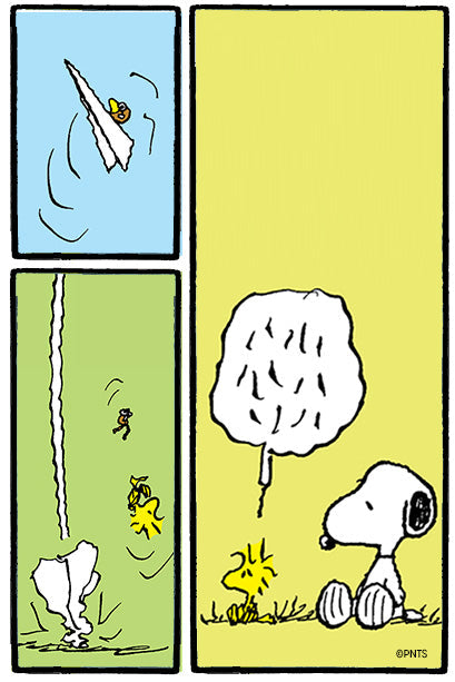 A three-panel scene: In the first panel, Woodstock rides a paper airplane midair; in the second, he tumbles downward after the plane crashes; in the third, Woodstock stands in front of Snoopy with a crumpled paper airplane, looking frustrated, while Snoopy calmly sits on the grass.