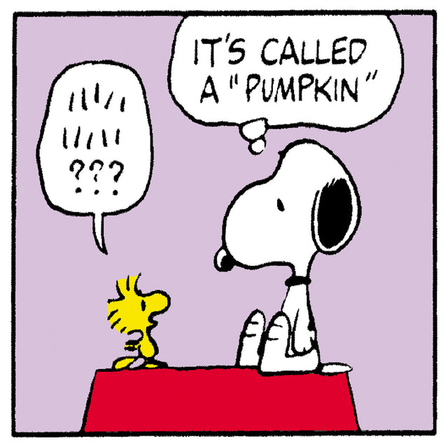 Snoopy from Peanuts sits on a red surface explaining to Woodstock, saying “It’s called a ‘Pumpkin’.” Woodstock looks confused, with a thought bubble showing exclamation marks and question marks.