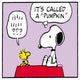 Snoopy from Peanuts sits on a red surface explaining to Woodstock, saying “It’s called a ‘Pumpkin’.” Woodstock looks confused, with a thought bubble showing exclamation marks and question marks.
