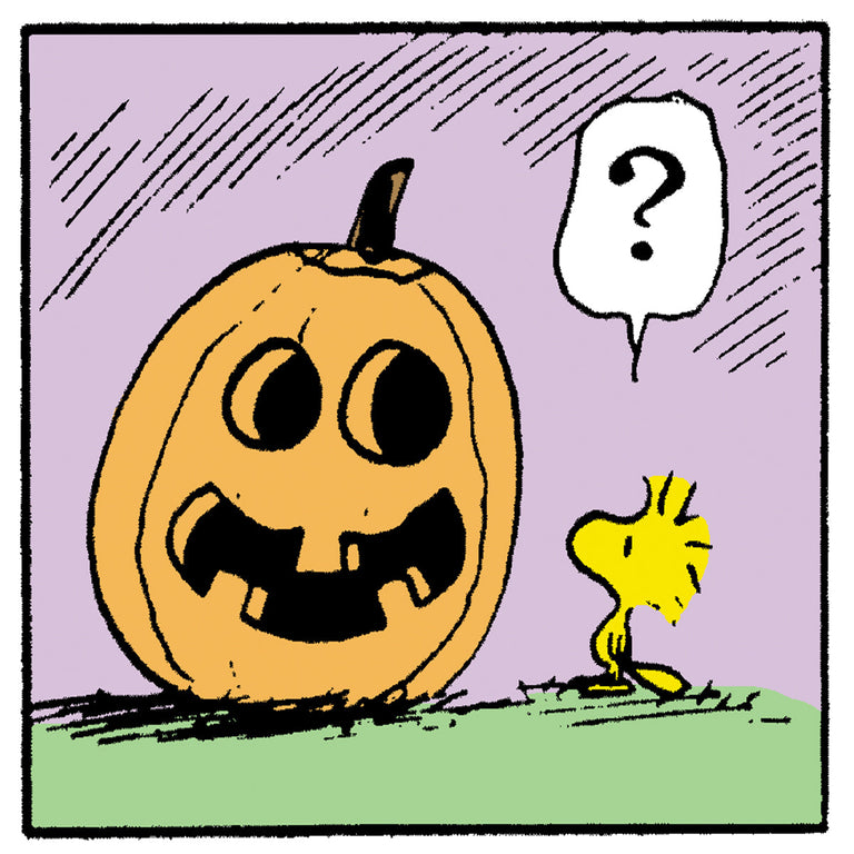Woodstock from Peanuts looks puzzled at a smiling jack-o’-lantern with a question mark above his head.