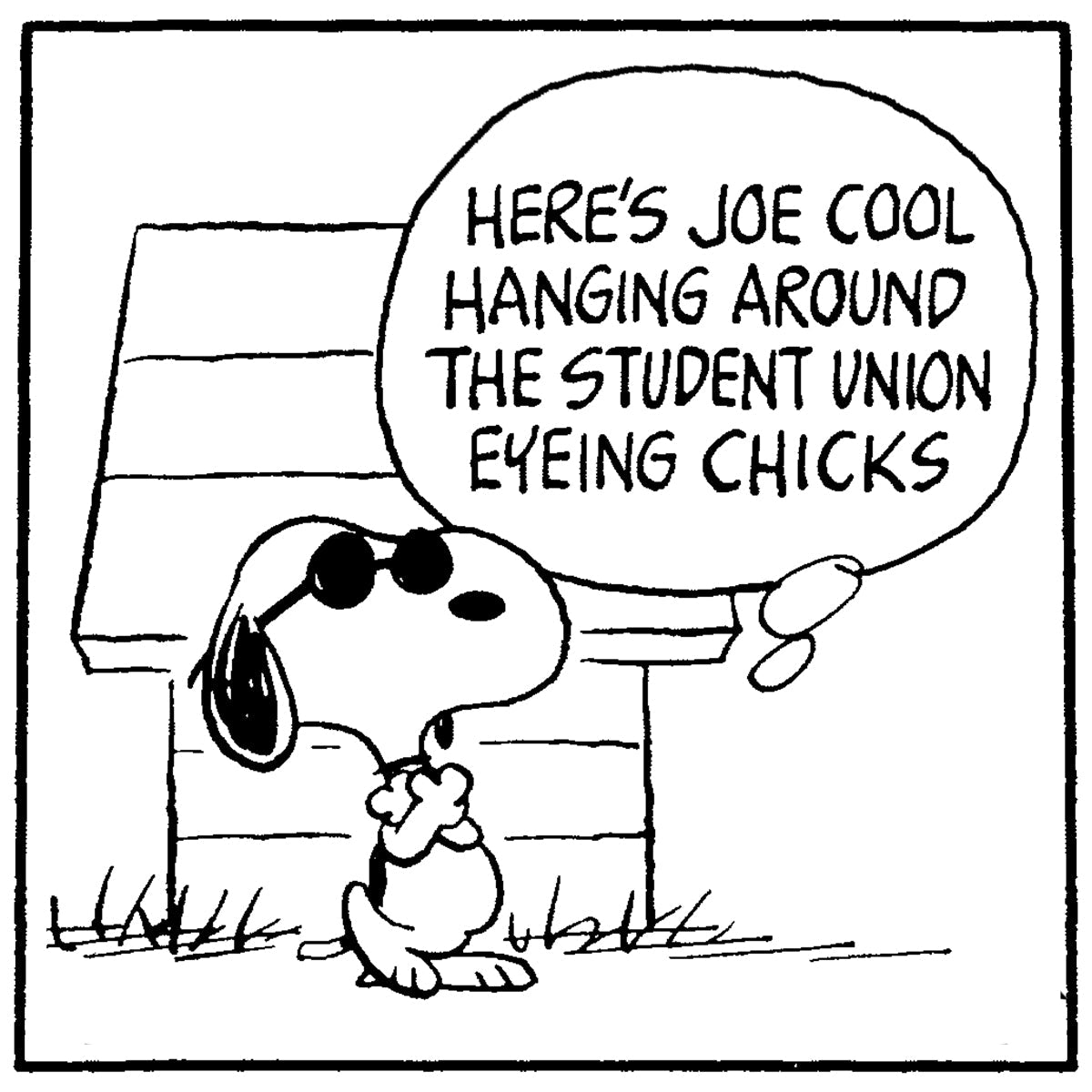 Peanuts® comic strip panel of Snoopy wearing sunglasses and leaning against his doghouse, with a speech bubble reading, “Here’s Joe Cool hanging around the student union eyeing chicks.”