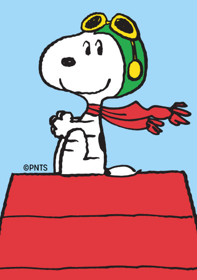 Illustration of Snoopy as the Flying Ace, wearing aviator goggles and a red scarf while sitting proudly atop his red doghouse, set against a light blue sky background with hand-drawn clouds.