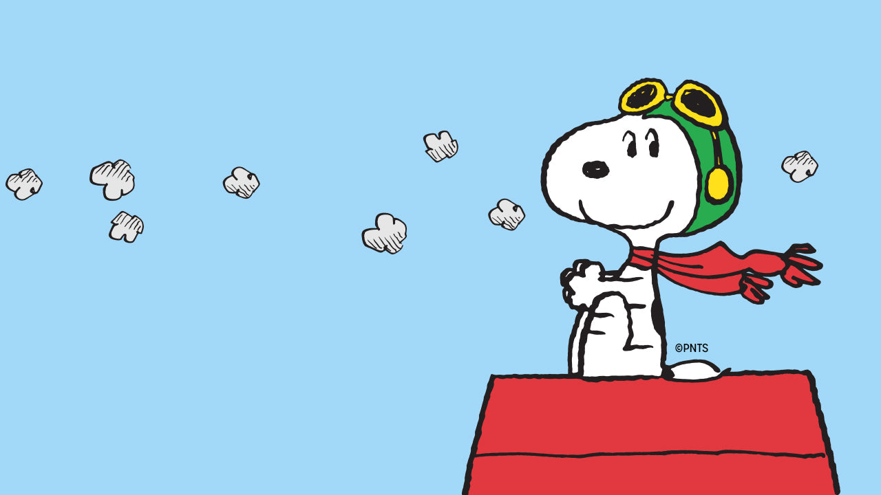 Illustration of Snoopy as the Flying Ace, wearing aviator goggles and a red scarf while sitting proudly atop his red doghouse, set against a light blue sky background with hand-drawn clouds.