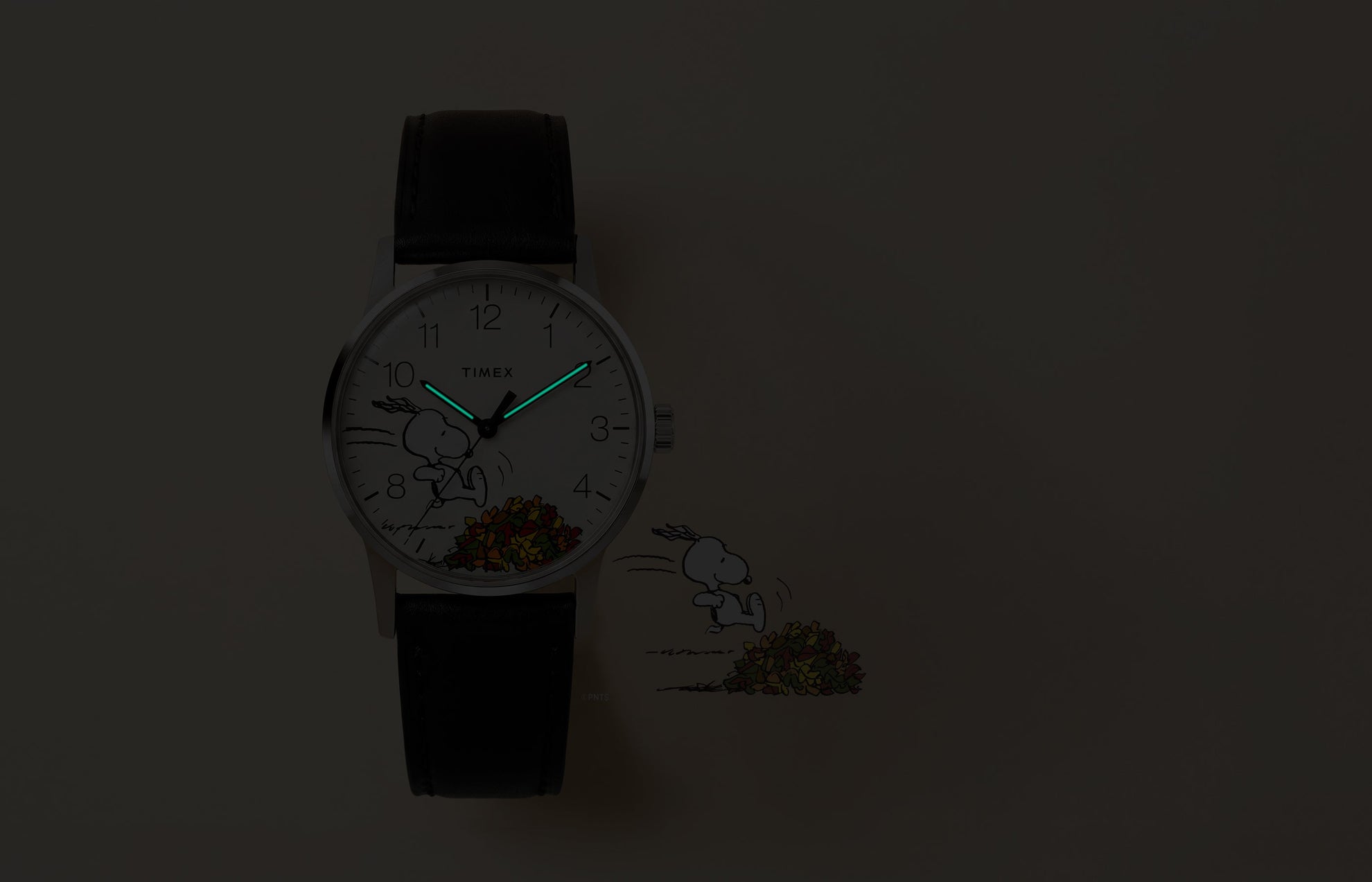 Peanuts® x Timex Waterbury Classic watch with INDIGLO® illumination highlighting the glowing hour and minute hands.