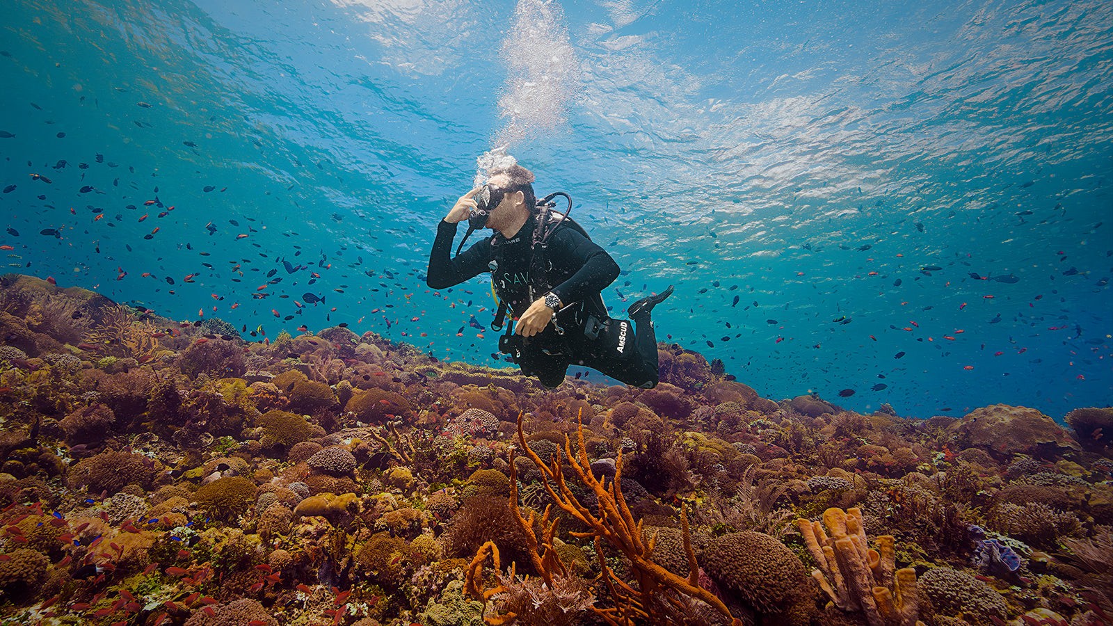 Scuba diver exploring a vibrant coral reef while wearing the Timex Deepwater Meridian 200 Automatic GMT, showcasing its underwater-ready design and 200-meter water resistance.