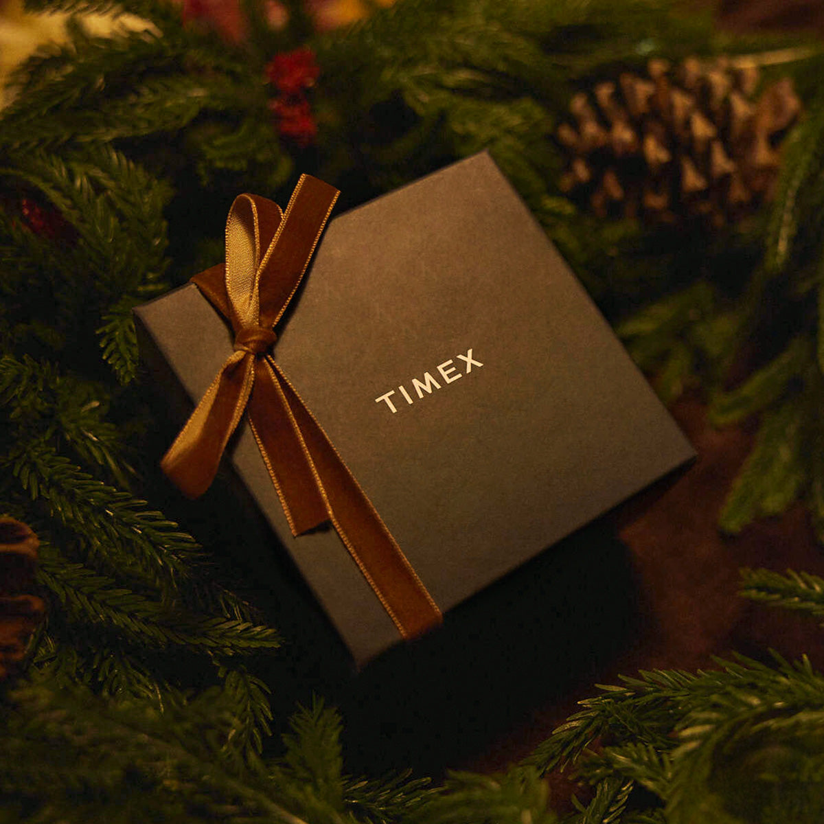 Timex gift box tied with a gold ribbon nestled among evergreen branches and pine cones.