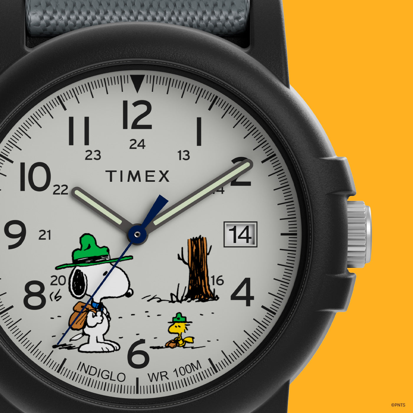 Timex on sale hiking watch