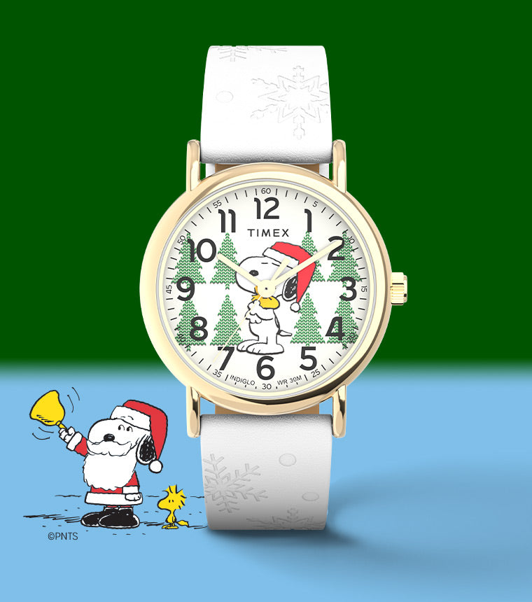 Timex TW2P72300 - Weekender Watch • Watchard.com