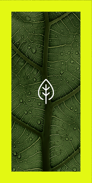 A photo of a leaf with a white sketch leaf at the center then overall with a  bold neon green around the photo