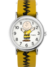 TW2R41100 Peanuts® x Timex Charlie Brown 38mm Fabric Strap Watch Primary Image