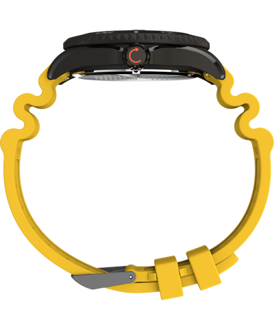 TW2W81700 Deepwater Meridian 200 44mm Synthetic Rubber Strap Watch  Profile Image