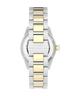 TW2Y94200 Waterbury Heritage Automatic 39mm Stainless Steel Bracelet Watch Strap Image