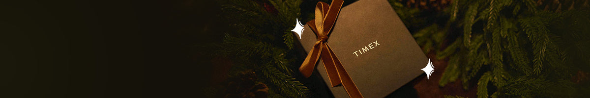 Gifts Under $250 - Timex gift box tied with a gold ribbon among evergreen branches, accented with white sparkles.