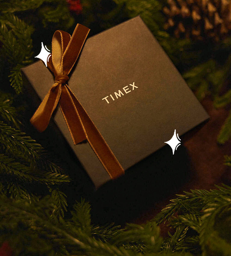 Timex gift box tied with a gold ribbon nestled among evergreen branches and pine cones.